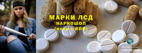 прущие грибы Зерноград