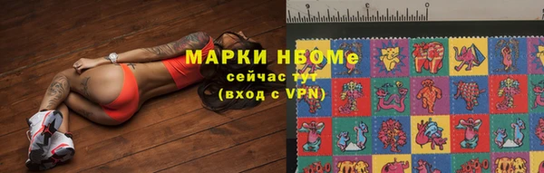 прущие грибы Зерноград