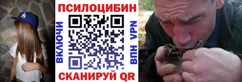 Псилоцибиновые грибы GOLDEN TEACHER  ссылка на мегу ссылки  Южно-Сахалинск  купить закладку 
