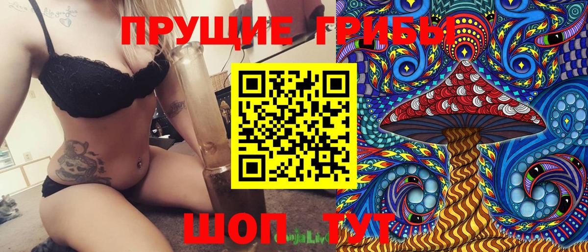 где можно купить   Вход с VPN  Южно-Сахалинск  Галлюциногенные грибы Psilocybine cubensis 